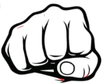 Logo Maurinho Taekwondo Team